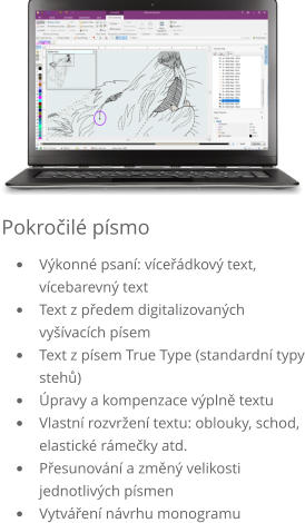 Pokročilé písmo •	Výkonné psaní: víceřádkový text, vícebarevný text •	Text z předem digitalizovaných vyšívacích písem •	Text z písem True Type (standardní typy stehů) •	Úpravy a kompenzace výplně textu •	Vlastní rozvržení textu: oblouky, schod, elastické rámečky atd. •	Přesunování a změný velikosti jednotlivých písmen •	Vytváření návrhu monogramu