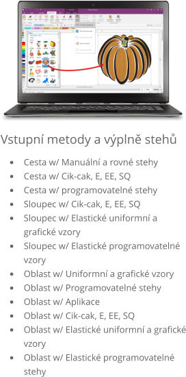 Vstupní metody a výplně stehů •	Cesta (manuální a rovné stehy) •	Cesta (Cik-cak, E, EE, SQ) •	Cesta (programovatelné stehy) •	Sloupec (cik-cak, E, EE, SQ) •	Sloupec (elastické uniformní a grafické vzory) •	Sloupec (elastické programovatelné vzory) •	Oblast (uniformní a grafické vzory) •	Oblast (programovatelné stehy) •	Oblast (plikace) •	Oblast (cik-cak, E, EE, SQ) •	Oblast (elastické uniformní a grafické vzory) •	Oblast (elastické programovatelné stehy)